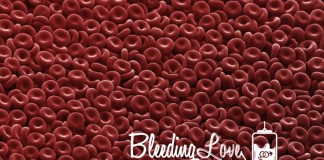 Bleeding Love Bleeding Love
