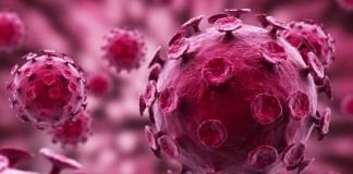 FDA Approves Clinical Human Trials of Possible HIV Cure HIV