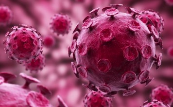 FDA Approves Clinical Human Trials of Possible HIV Cure HIV