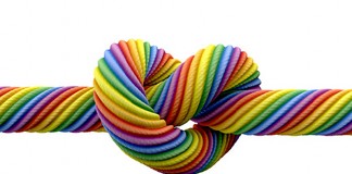 Same-sex Marriage Support at All-Time High in US while Ireland Prepare to Vote Yes same-sex marriage