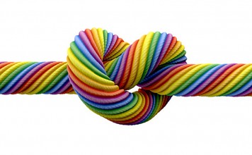 Same-sex Marriage Support at All-Time High in US while Ireland Prepare to Vote Yes same-sex marriage