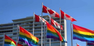 Canadian Conservative Party Dump Homophobic Candidate LGBTI Canada