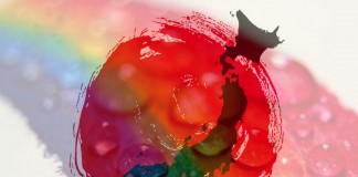 Anti-Discrimination Law Proposed in Japan Japan LGBTI