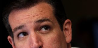 Trump Not Transphobic Enough? Ted Cruz