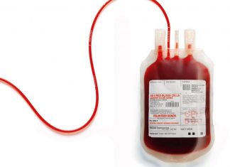 More LGBTQIA+ Australians Can Now Donate Blood Under New Rules blood donation
