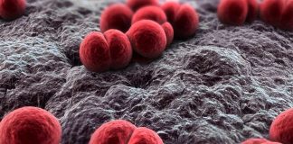 Health Officials Baffled Over Meningitis Outbreak Affecting Gay Men