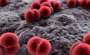 Health Officials Baffled Over Meningitis Outbreak Affecting Gay Men