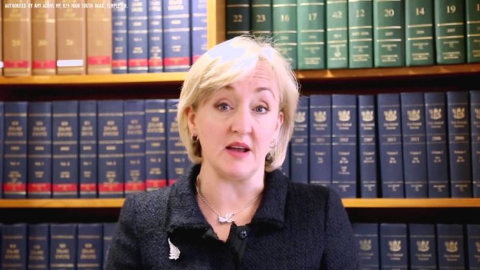 Minister for Justice Amy Adams (Youtube)