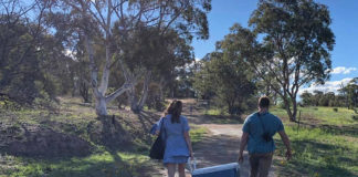 Same-Sex Marriage Supporter Finally Gets Married Himself In The Simplest Way Possible David Pocock and Emma Palandri getting married (Twitter)