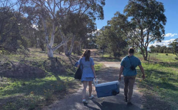 Same-Sex Marriage Supporter Finally Gets Married Himself In The Simplest Way Possible David Pocock and Emma Palandri getting married (Twitter)