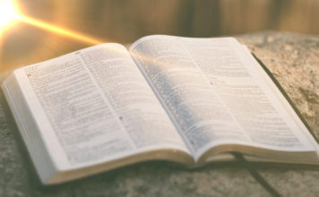 South African Pastor Fights Back After Being Fired For Supporting LGBTI Equality church bible