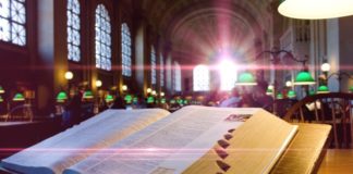 Non-Binary Pronoun ‘They’ Added to Merriam-Webster Dictionary merriam-webster dictionary