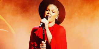 Pink Donates Half a Million Dollars to Australian Bushfire Services Pink