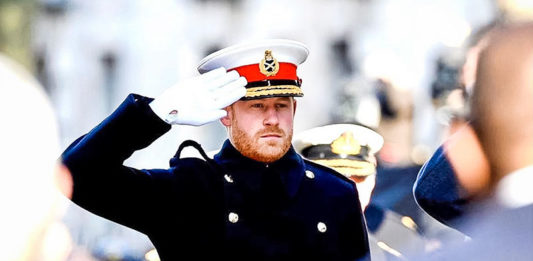 Prince Harry defended gay soldier