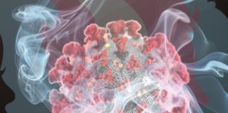 Idaho Governor Signs Anti-Trans Bills Into Law Under Covid-19 Smokescreen Anti-Trans Covid-19