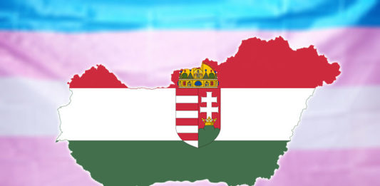 hungary transgender flag