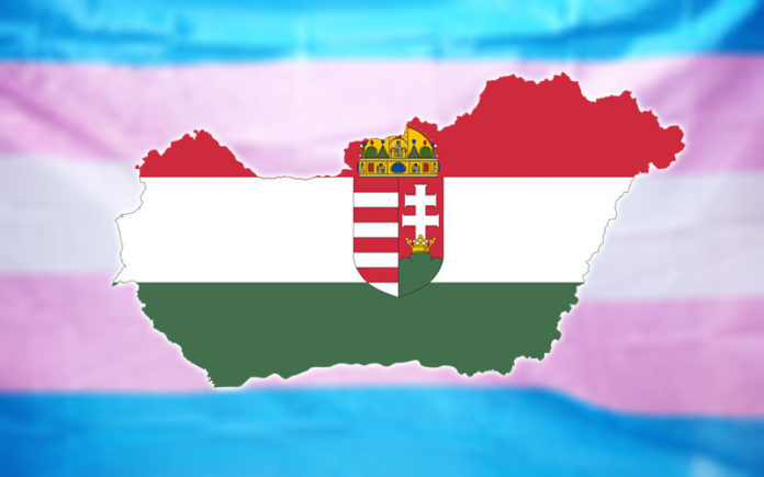 hungary transgender flag