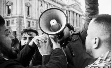 LGBT+ Syrians Facing Extreme Oppression From Both Government And ISIS Syrians