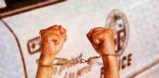 Two Arrested Regarding Transphobic Attack in Hollywood transphobic criminals arrested