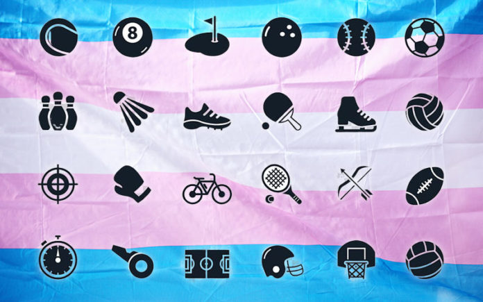trans and gender diverse sports