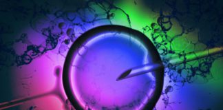 New Reforms To Assist LGBTIQ Couples to Start Families