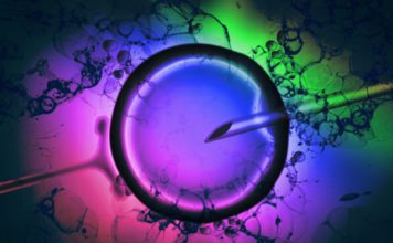 New Reforms To Assist LGBTIQ Couples to Start Families