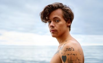 Harry Styles Helps Fan Come Out To Her Family Mid-Concert Harry Styles