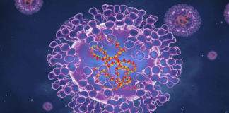 AIDS Organisations Urge Attendance at Monkeypox Forum monkeypox