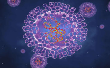 AIDS Organisations Urge Attendance at Monkeypox Forum monkeypox