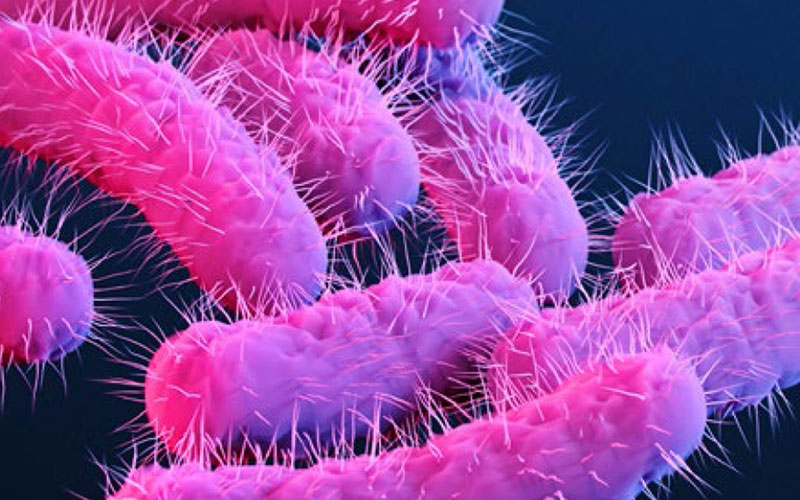 Health Alert: Rising Cases of Antibiotic-Resistant Superbug Among Gay ...