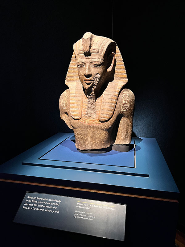 Bust of Ramses the Great