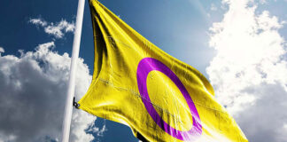 UN Human Rights Council Passes Resolution to Protect Intersex Rights Intersex Flag