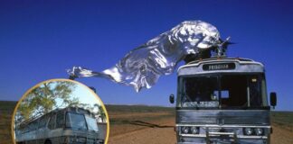 Priscilla: Beloved Aussie Bus Found and Set for Restoration Priscilla bus found