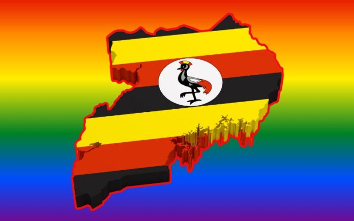 Uganda rainbow