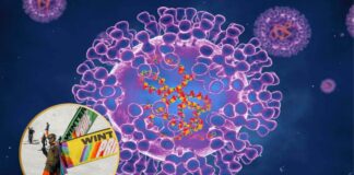 Winter Pride Attendees Urged to Monitor for Mpox Symptoms Mpox breakout at Winter Pride